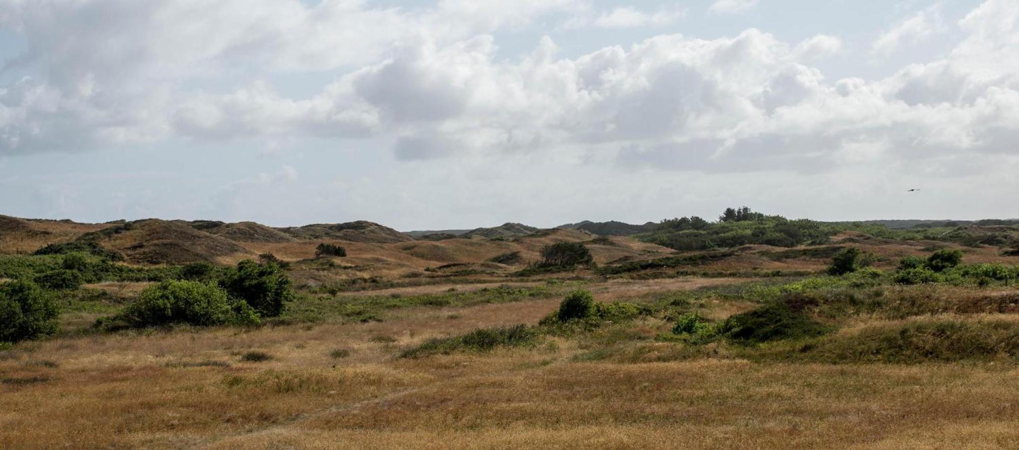 Duenenblick 3 Am Pirolatal Villa Langeoog Dış mekan fotoğraf